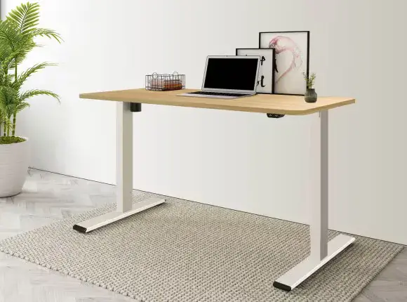 flexispot FLEXISPOT EC1 Essential Adjustable Desk Electric Standing Desk 48x24 Inch Gray Frame+Grey Wood Grain